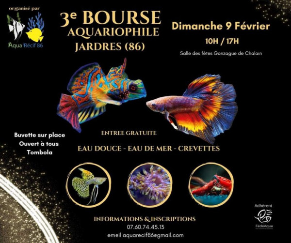 2025-02-09-86-JARDRES.jpg